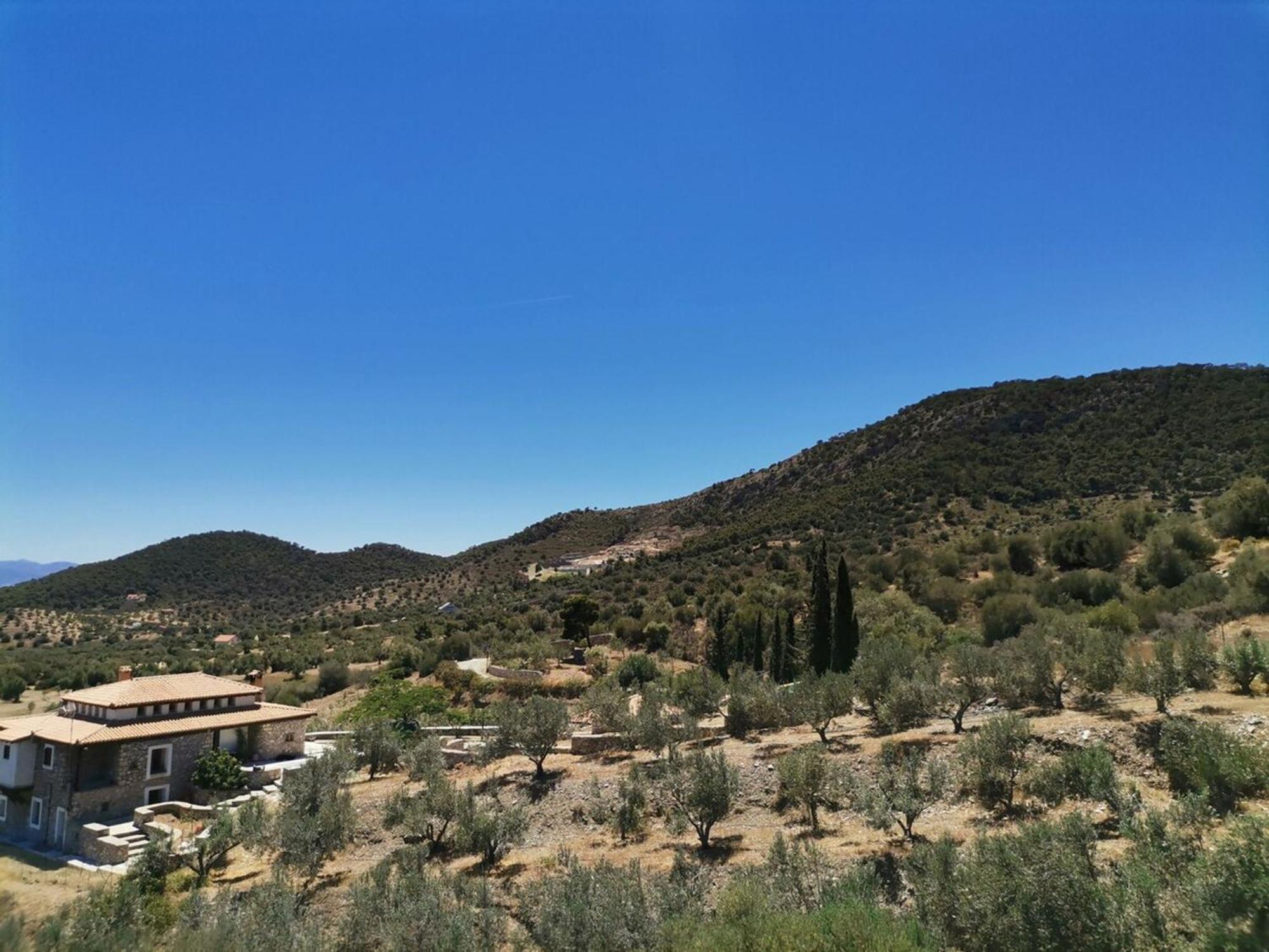 Saronic Citadel Seaside Villa Σαλαμίνα Εξωτερικό φωτογραφία